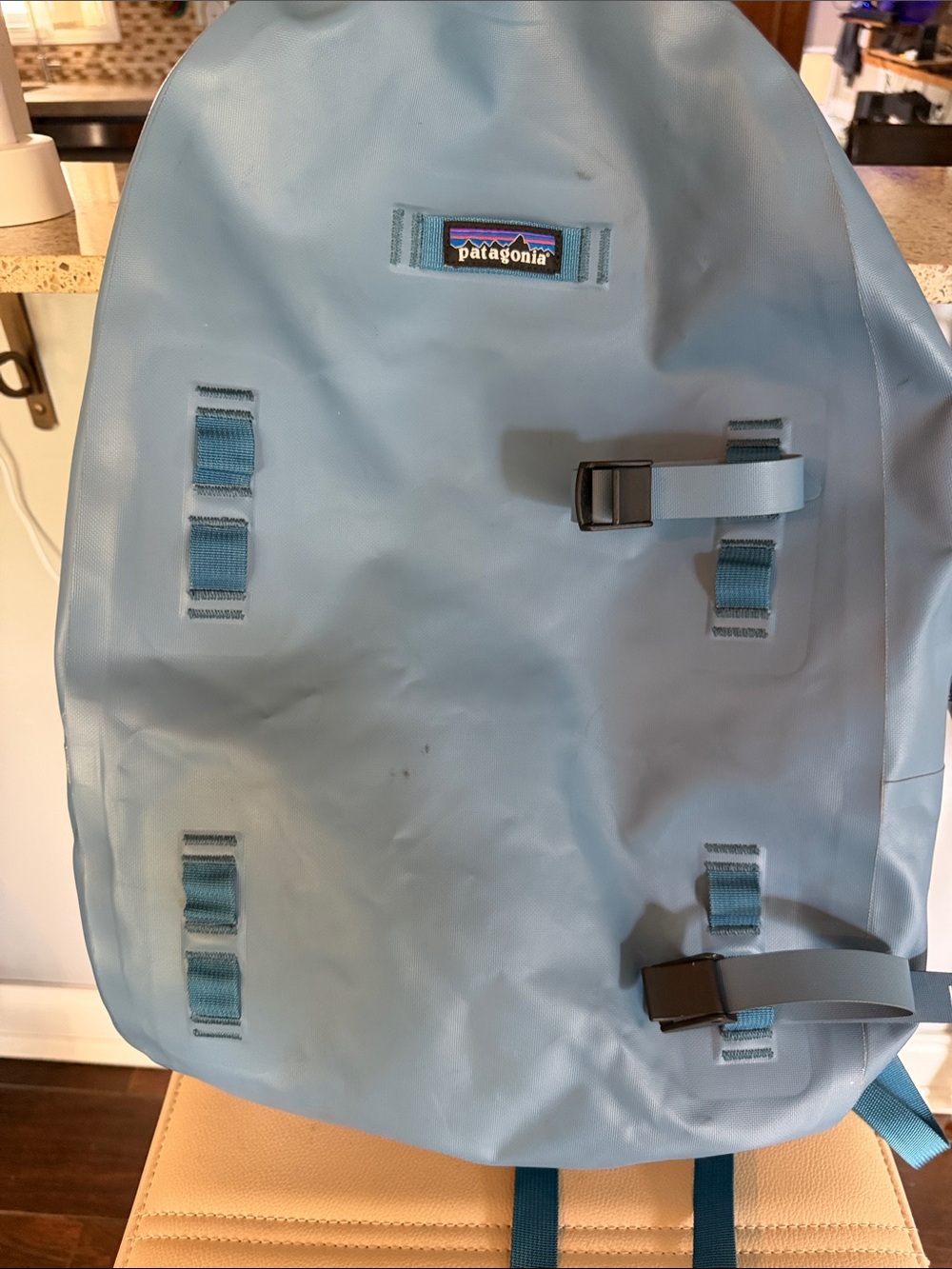 Patagonia Light Blue Men’s Backpack with Teal Accents